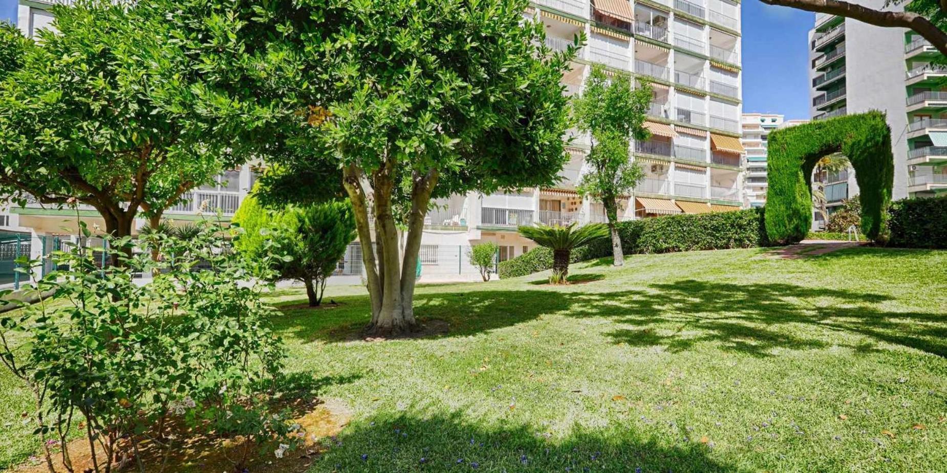 Apartamento Brasil Mar Playa de Gandia Bagian luar foto